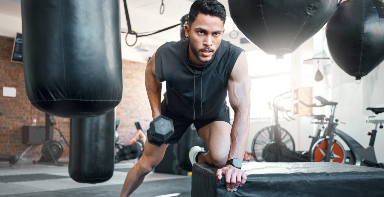 programme musculation