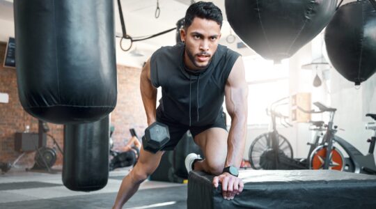 programme musculation